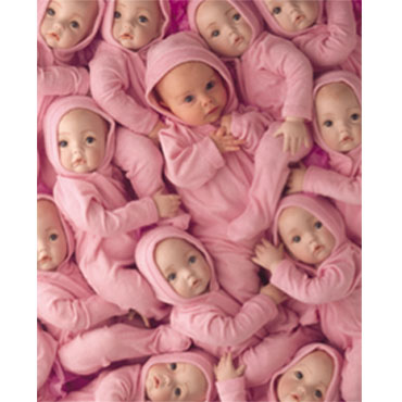 Among the dolls
