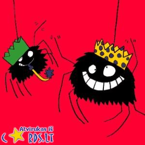 Funny spiders