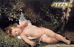 Sleeping Cupid