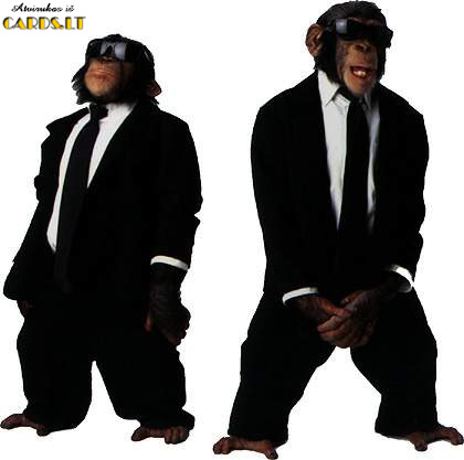 Beždžionės juodais drabužiais