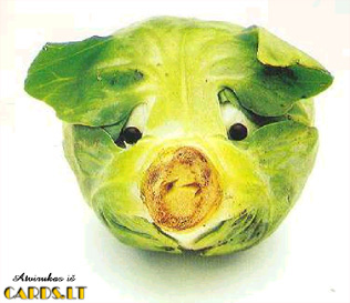 Cabbage instad of head