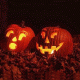 Couple of pumpkins