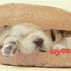 Hotdog'as
