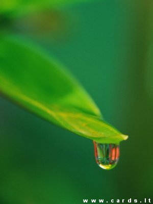 Drop of water