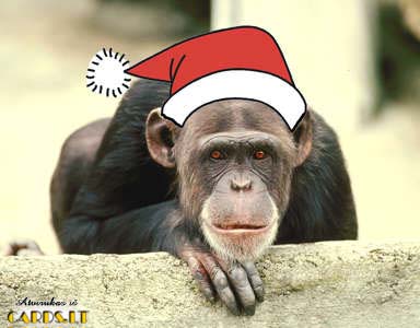 Christmas monkey