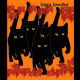 Juodos katės